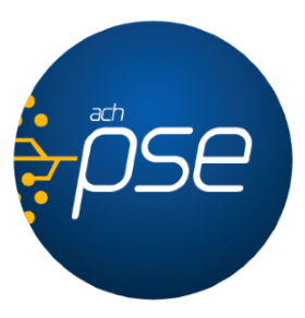 payment_icon pse svg